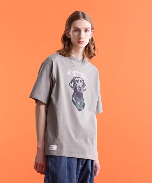 Schott(ショット)/S/S T－SHIRT "LABRADOR RETRIEVER"/半袖 Tシャツ 'ラブラドール レトリバー'/グレー