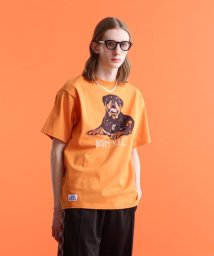 Schott/T－SHIRT ROTTWEILER/ロットワイラー Tシャツ/505125432