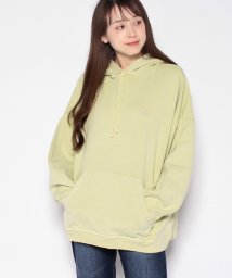 LEVI’S OUTLET/GRAPHIC CARAVAN HOODIE NATURAL DYE TIGHT/505129609