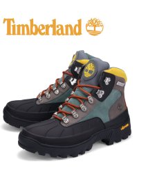 Timberland/ティンバーランド Timberland ブーツ ビブラム ユーロ ハイカー メンズ ウォータープルーフ VIRBAM EURO HIKER グレー A2KJP/505138677