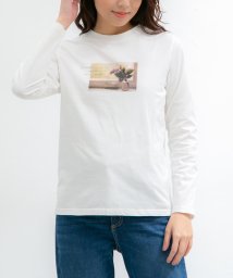 Honeys/フォトプリントＴシャツ/505143787