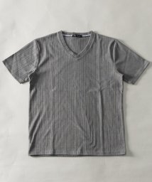 Nylaus(ナイラス)/T/C ランダムテレコ Vネック 半袖Tシャツ/その他