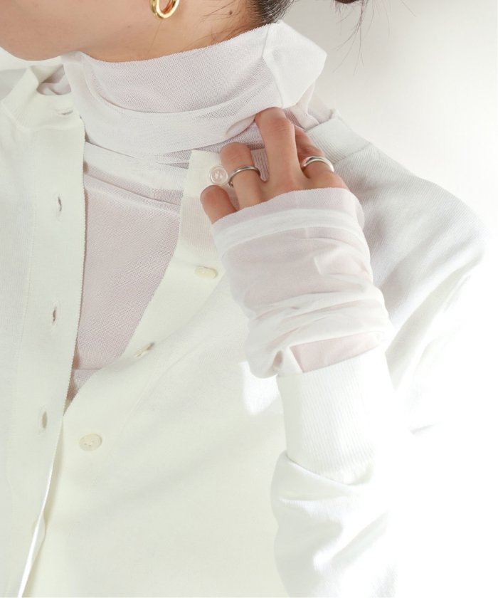 メッシュタートル