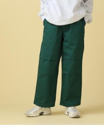 AVIREX/TC TWILL SNOW PANTS / スノーパンツ/505160126