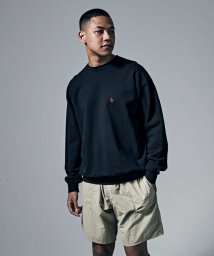 Penguin by Munsingwear(ペンギン　バイ　マンシングウェア)/【WEB限定】U.S.A.STANDARD FRENCH TERRY CREW NECK/USAスタンダードクルーネックスウェッ【アウトレット】/ブラック