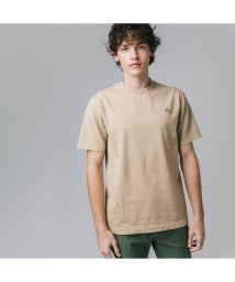 LACOSTE Mens/ボディーサイズピグメントTシャツ/505171235