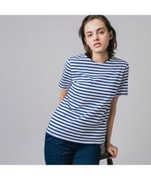 LACOSTE(ラコステ)/ボーダー半袖Tシャツ/ロイヤルブルー