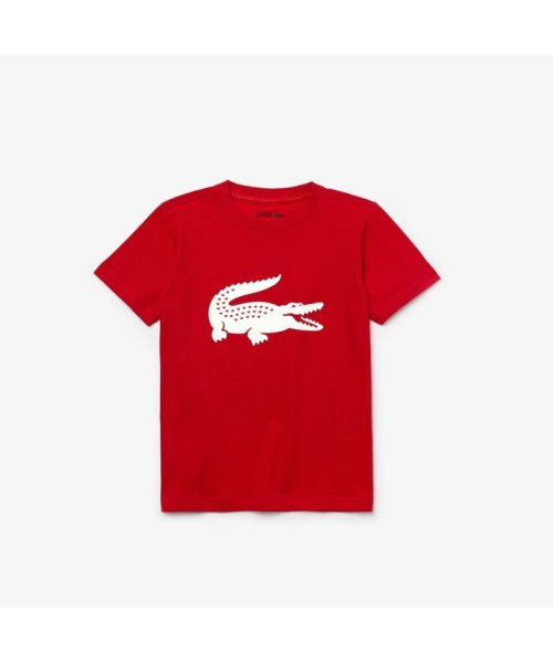 LACOSTE KIDS(ラコステ　キッズ)/ウルトラドライクロックプリント　キッズTシャツ/レッド