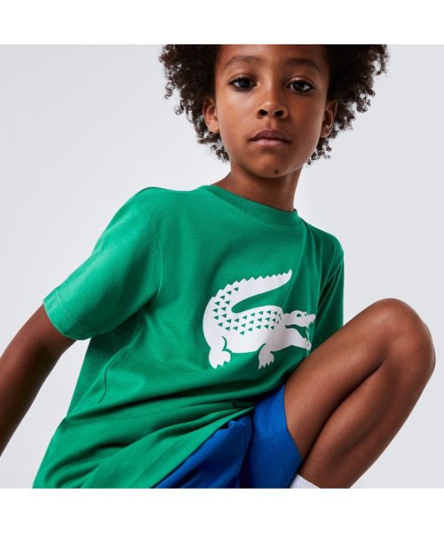 LACOSTE KIDS(ラコステ　キッズ)/ウルトラドライクロックプリント　キッズTシャツ/グリーン