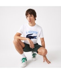 LACOSTE Mens(ラコステ　メンズ)/カレッジプリントTシャツ/ホワイト