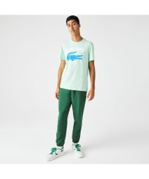 LACOSTE Mens/カレッジプリントTシャツ/505173165