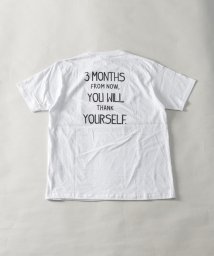 Nylaus(ナイラス)/レギュラーフィット ロゴアソートプリント ショートスリーブTシャツ 半袖Tシャツ/ホワイト