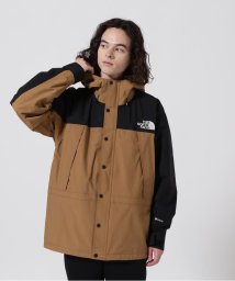 BEAVER(ビーバー)/THE NORTH FACE/ザ・ノースフェイス　Mountain Light Jacket/ブラウン