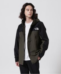 BEAVER(ビーバー)/THE NORTH FACE/ザ・ノースフェイス　Mountain Light Jacket/オリーブ