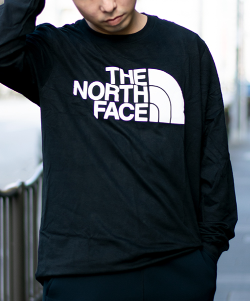 THE NORTH FACE ノースフェイス HALF DOME Tシャツ Lサイズ