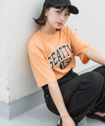 SENSE OF PLACE by URBAN RESEARCH/『別注』champion×SENSE OF PLACE　グラフィックTシャツ/505203897