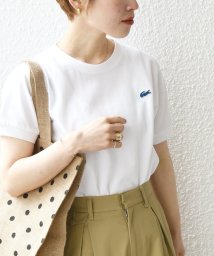 SHIPS any WOMEN/【SHIPS any別注】LACOSTE: PIQUE クルーネック Tシャツ 24SS/505206441