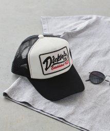 Dickies(Dickies)/Dickies American casual mesh CAP C/ﾎﾜｲﾄ