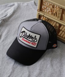 Dickies(Dickies)/Dickies American casual mesh CAP C/M･ｸﾞﾚｰ