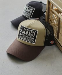 Dickies(Dickies)/Dickies American casual mesh CAP D/ﾍﾞｰｼﾞｭ