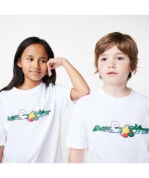 LACOSTE KIDS/BOYS アニメタッチグラフィックプリントTシャツ/505213122