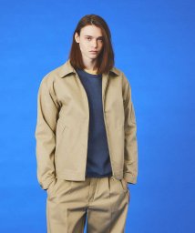 ABAHOUSE(ABAHOUSE)/Dickies ディッキーズ　EISENHOWER JKJT75 アイゼンハワー/ベージュ