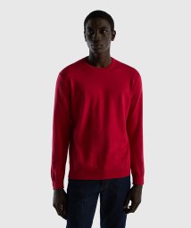 BENETTON (mens)(ベネトン（メンズ）)/コットン100％無地クルーネック長袖ニットセーター/ピンク