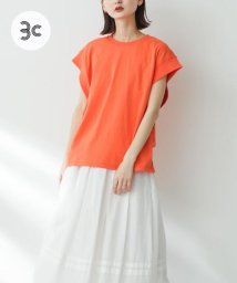 SENSE OF PLACE by URBAN RESEARCH(センスオブプレイス バイ アーバンリサーチ)/USAコットンフレンチスリーブTシャツ/ORANGE