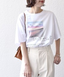 SHIPS WOMEN/《一部追加予約》* オーガニックコットン フォト ショート スリーブ TEE 24SS ◆/503958934