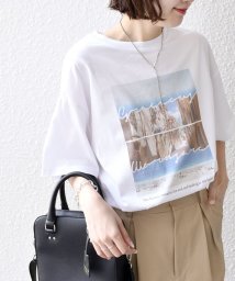 SHIPS WOMEN/《一部追加予約》* オーガニックコットン フォト ショート スリーブ TEE 24SS ◆/503958934