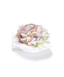 JILL STUART(ジル スチュアート)/ＢＬＯＯＭ　ＢＲＯＯＣＨ/CHALK