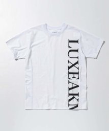 LUXEAKMPLUS/LUXEAKMPLUS(リュクスエイケイエムプラス)ゴルフ バーチカルロゴ半袖Tシャツ【ゴルフ】/505228646