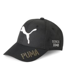PUMA(PUMA)/メンズ ゴルフ ツアー パフォーマンス キャップ/PUMABLACK
