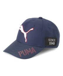 PUMA/メンズ ゴルフ ツアー パフォーマンス キャップ/505229477