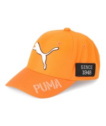 PUMA(PUMA)/メンズ ゴルフ ツアー パフォーマンス キャップ/RICKIEORANGE