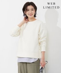 J.PRESS LADIES（LARGE SIZE）(J．プレス　レディス（大きいサイズ）)/【WEB限定】 ダンボールニットジャージー カットソー/ホワイト系