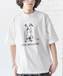 coen(coen)/YALE（イェール）別注プリントTシャツ/WHITE