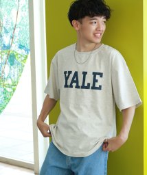 ZIP FIVE/YALE/BIGシルエットTシャツ/504654457