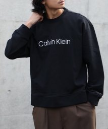 Calvin Klein(カルバンクライン)/【Calvin Klein / カルバンクライン】ロゴ刺繍 スウェット クルーネック トレーナー 40HM230 プレゼント 贈り物/ブラック 