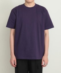 SENSE OF PLACE by URBAN RESEARCH(センスオブプレイス バイ アーバンリサーチ)/Hanes　BEEFY T－SHIRTS 1P/D.PURPLE