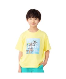 MAC HOUSE(kid's)(マックハウス（キッズ）)/NAVY ネイビー プリントTシャツ N23－3－22042/イエロー