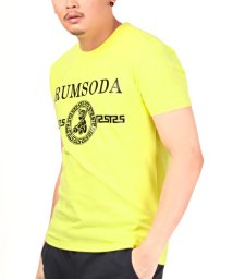 LUXSTYLE/RUMSODA(ラムソーダ)箔プリントクルーネック半袖Tシャツ/Tシャツ メンズ 半袖 ロゴ プリント クマ テディベア 箔プリント 金 銀/505242247