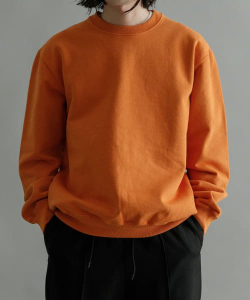 URBAN RESEARCH(アーバンリサーチ)/ndx　CLASSIC SWEAT SHIRTS/DBURTUCAL