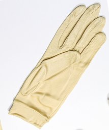 TeddyShop(テディショップ)/レディース 薄手サラツヤ手触りUV対策シルク手袋/ライトベージュ