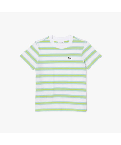 LACOSTE KIDS(ラコステ　キッズ)/BOYS ボーダーTシャツ/ホワイト