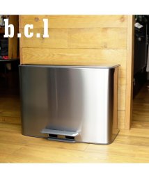 b.c.l/b.c.l ビーシーエル ゴミ箱 ダストボックス 36L 2分別 ふた付き ペダル式 スリム STAINLESS DUST BOX シルバー/505245799