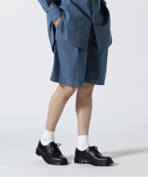 GARDEN(ガーデン)/YOKE/ヨーク/Garment Dye Stripe Belted Wide Shorts/グリーン
