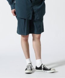 GARDEN(ガーデン)/YOKE/ヨーク/Garment Dye Stripe Belted Wide Shorts/ブルー