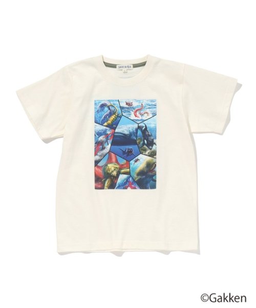 SHOO・LA・RUE(Kids) (シューラルーキッズ)/【最強王図鑑×SHOO・LA・RUE】8分割プリントTシャツ/アイボリー（004）