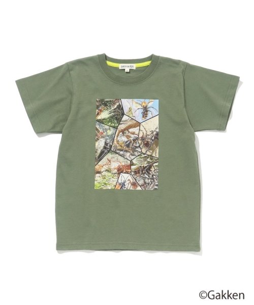 SHOO・LA・RUE(Kids) (シューラルーキッズ)/【最強王図鑑×SHOO・LA・RUE】8分割プリントTシャツ/カーキ（027）